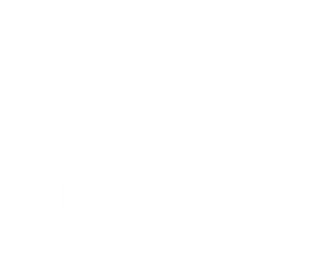 White stacked BluCove logo.